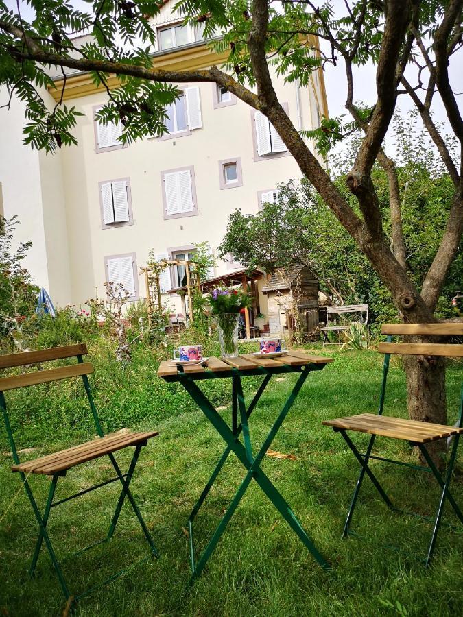 Apartament Combles & Vous Colmar Zewnętrze zdjęcie