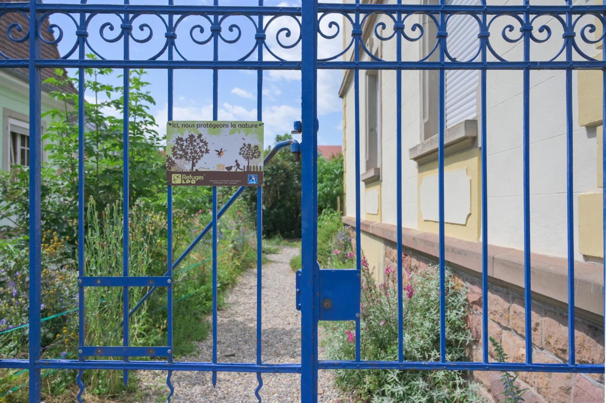 Apartament Combles & Vous Colmar Zewnętrze zdjęcie