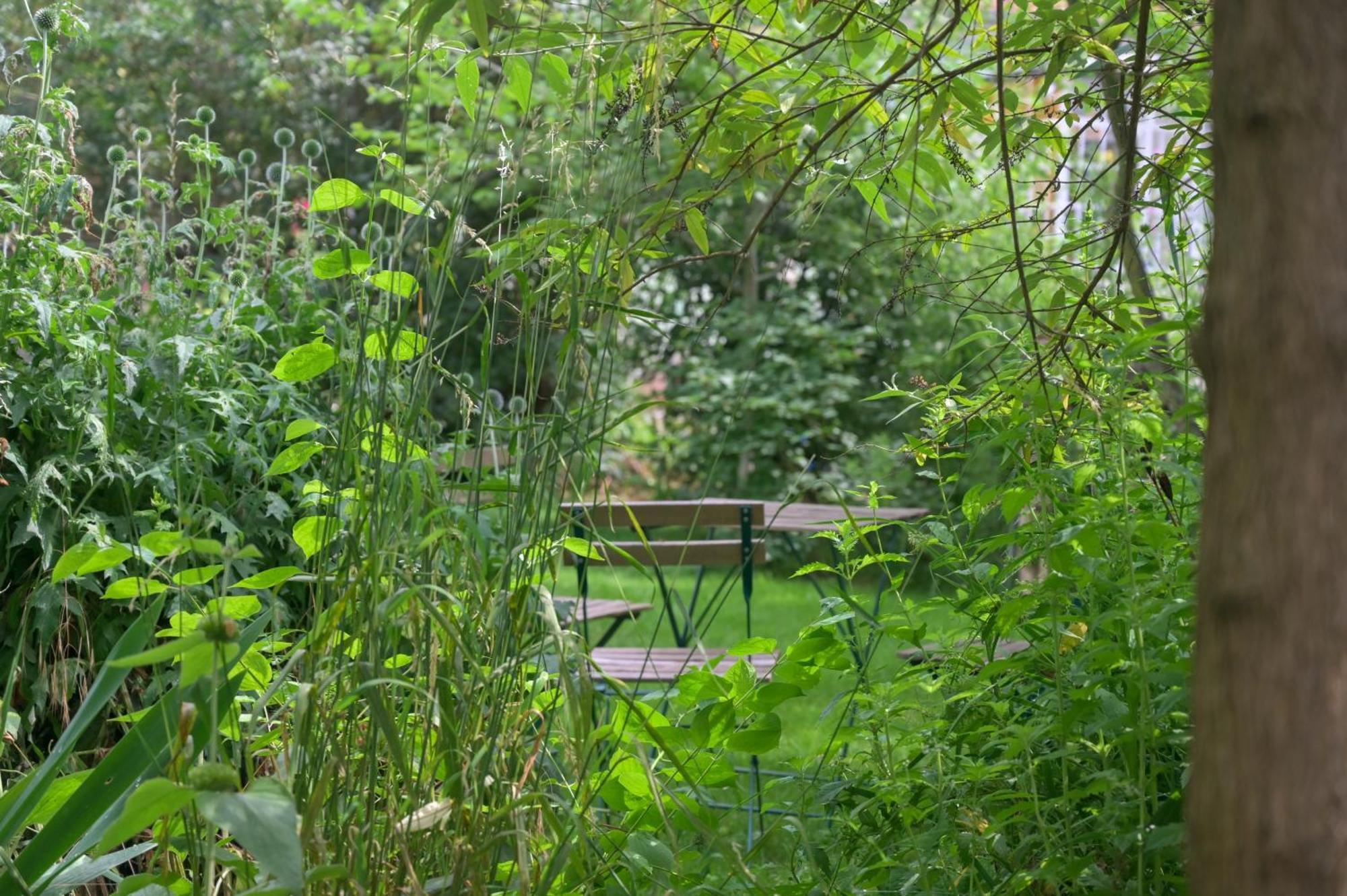 Apartament Combles & Vous Colmar Zewnętrze zdjęcie