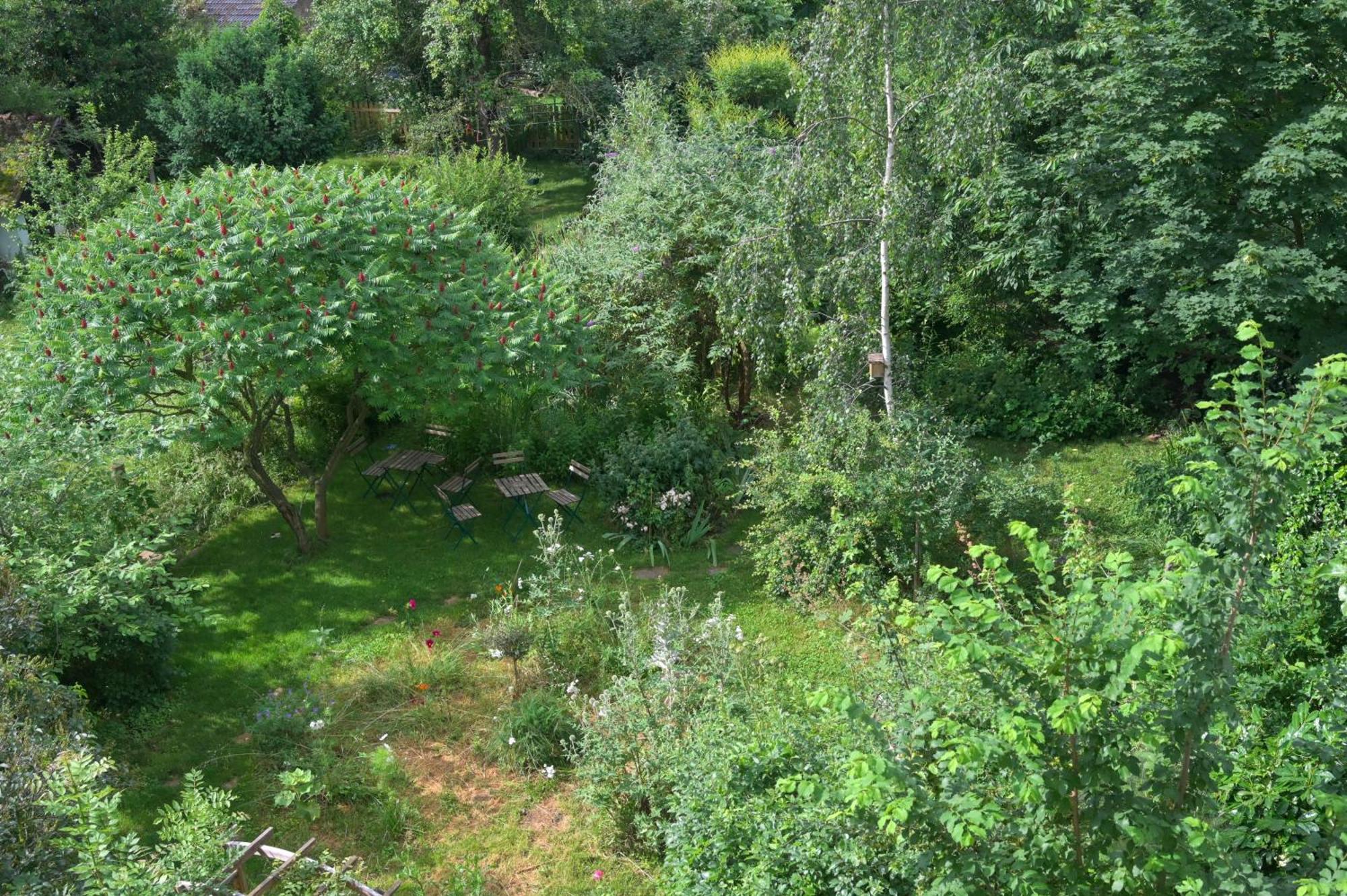 Apartament Combles & Vous Colmar Zewnętrze zdjęcie